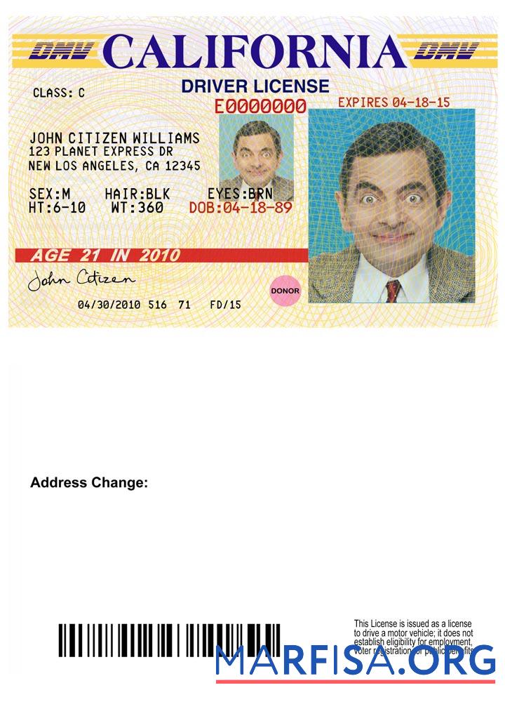 Blank USA California driving license version 3 sample